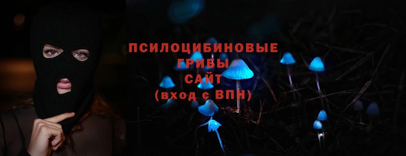 где продают наркотики  Красноярск  Галлюциногенные грибы MAGIC MUSHROOMS 